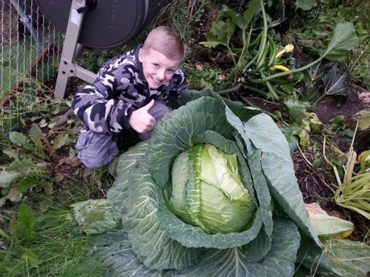 Max Sherrod Junior Cabbage Grower's Award