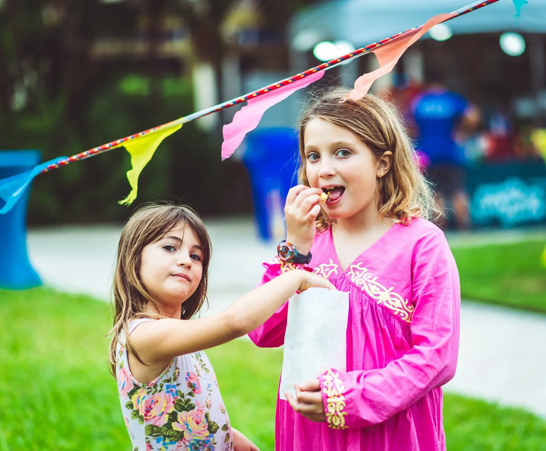 Field Day Frenzy