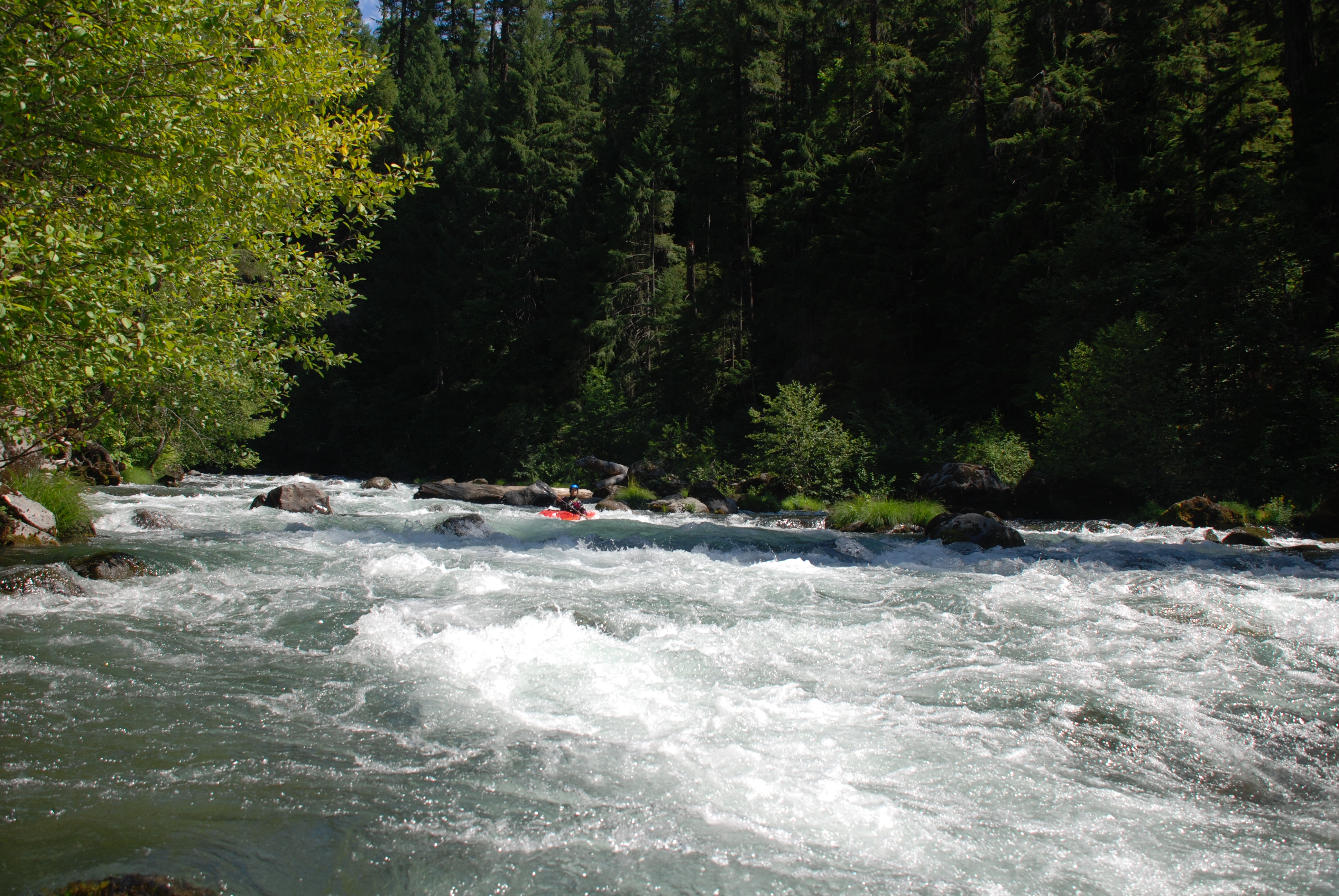 North Fork Rogue Release (OR)