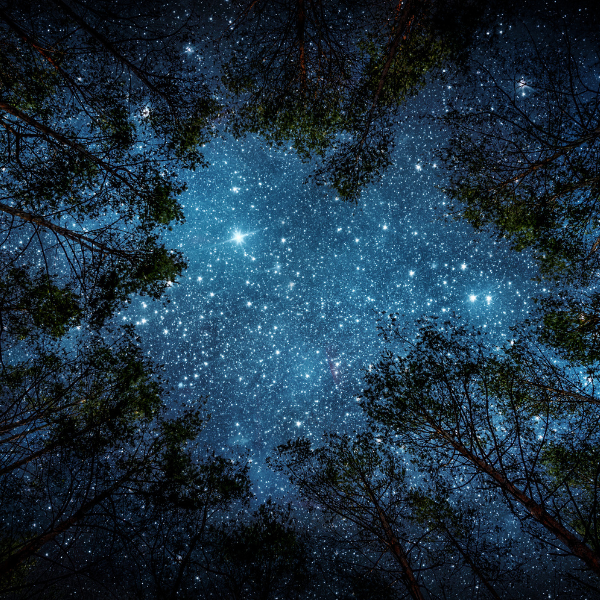 The Dark Side of Light Pollution