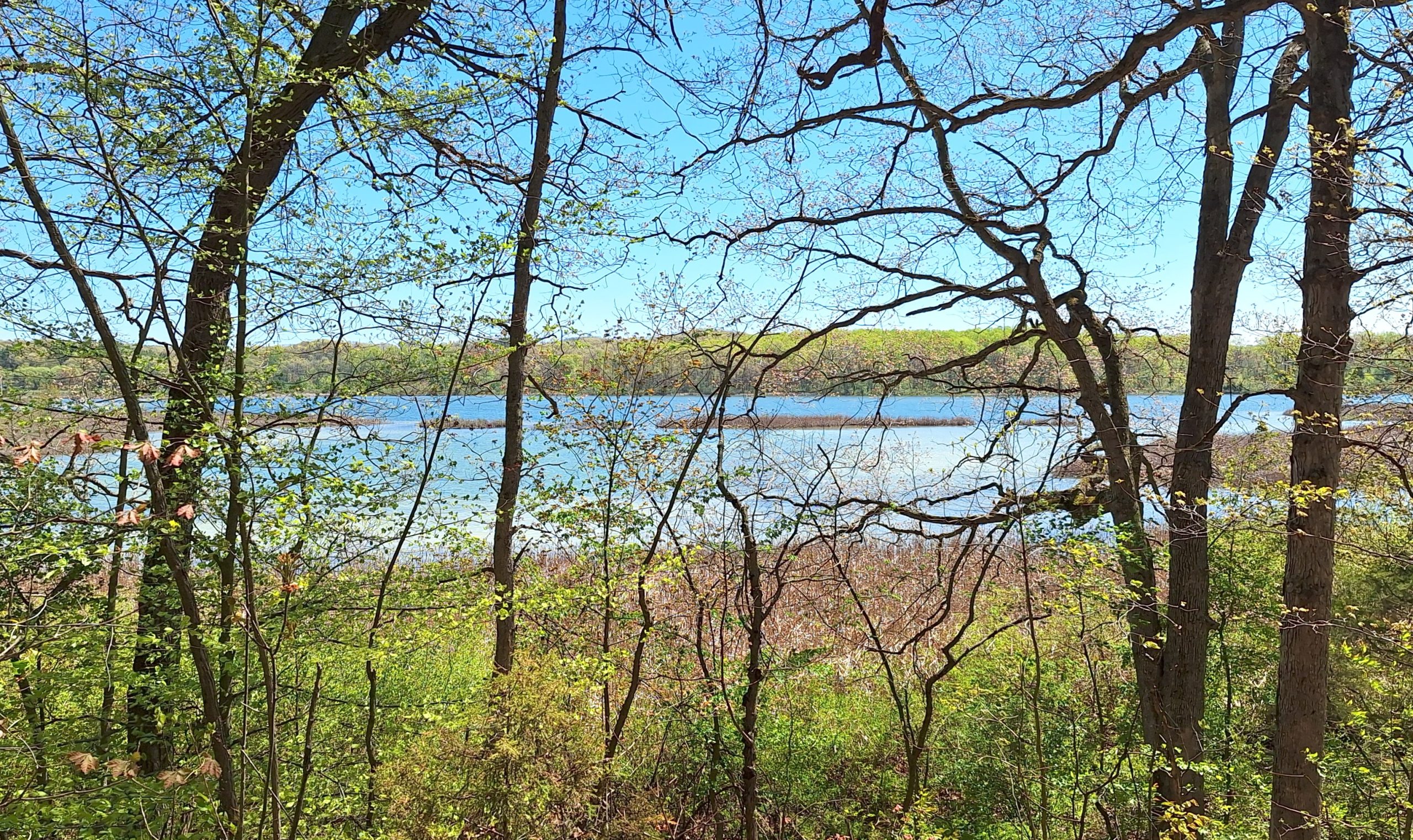 Chief Noonday Chapter Fish Lake Hike
