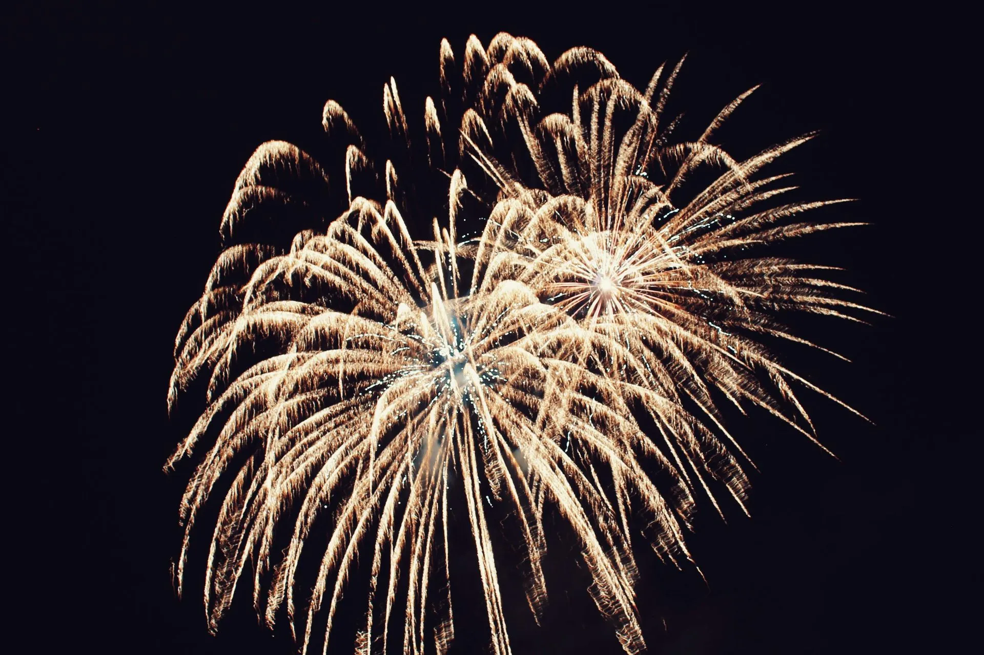 Our Lady of Peace Parish Festival