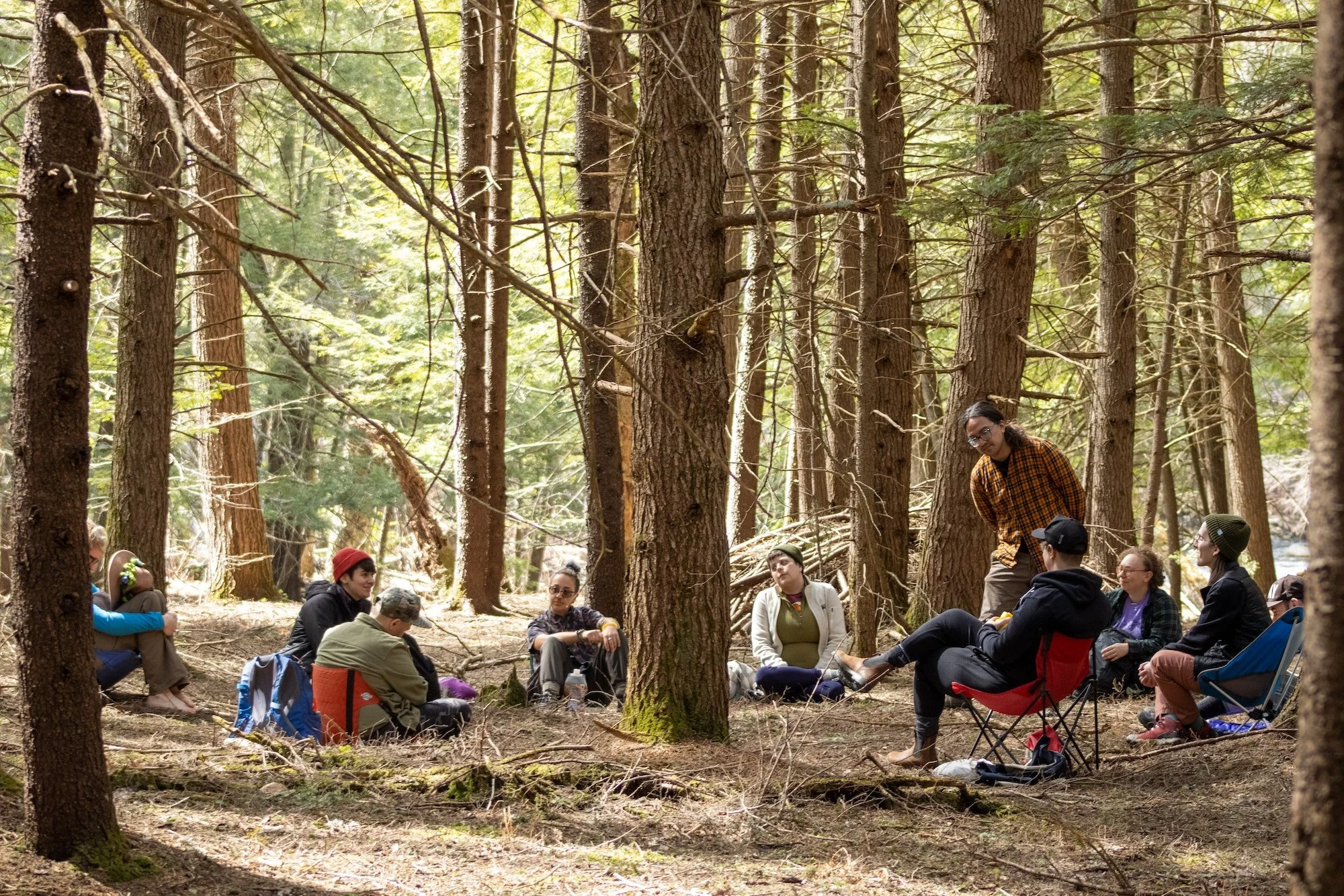 Summer Queer Forest Bathing Retreat with Toadstool Walks